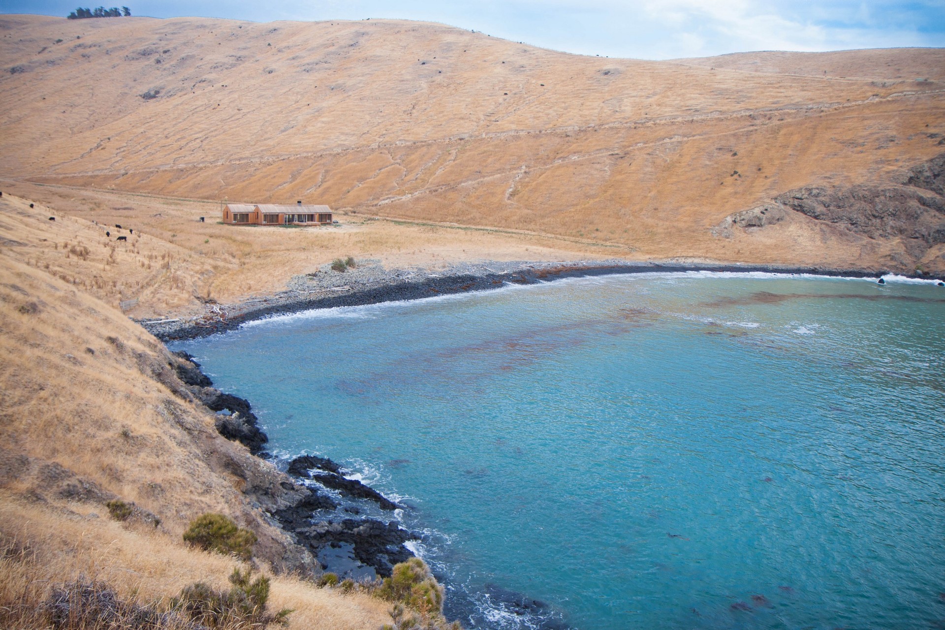 Scrubby_Bay__Photo_by_Greg_McKenzie