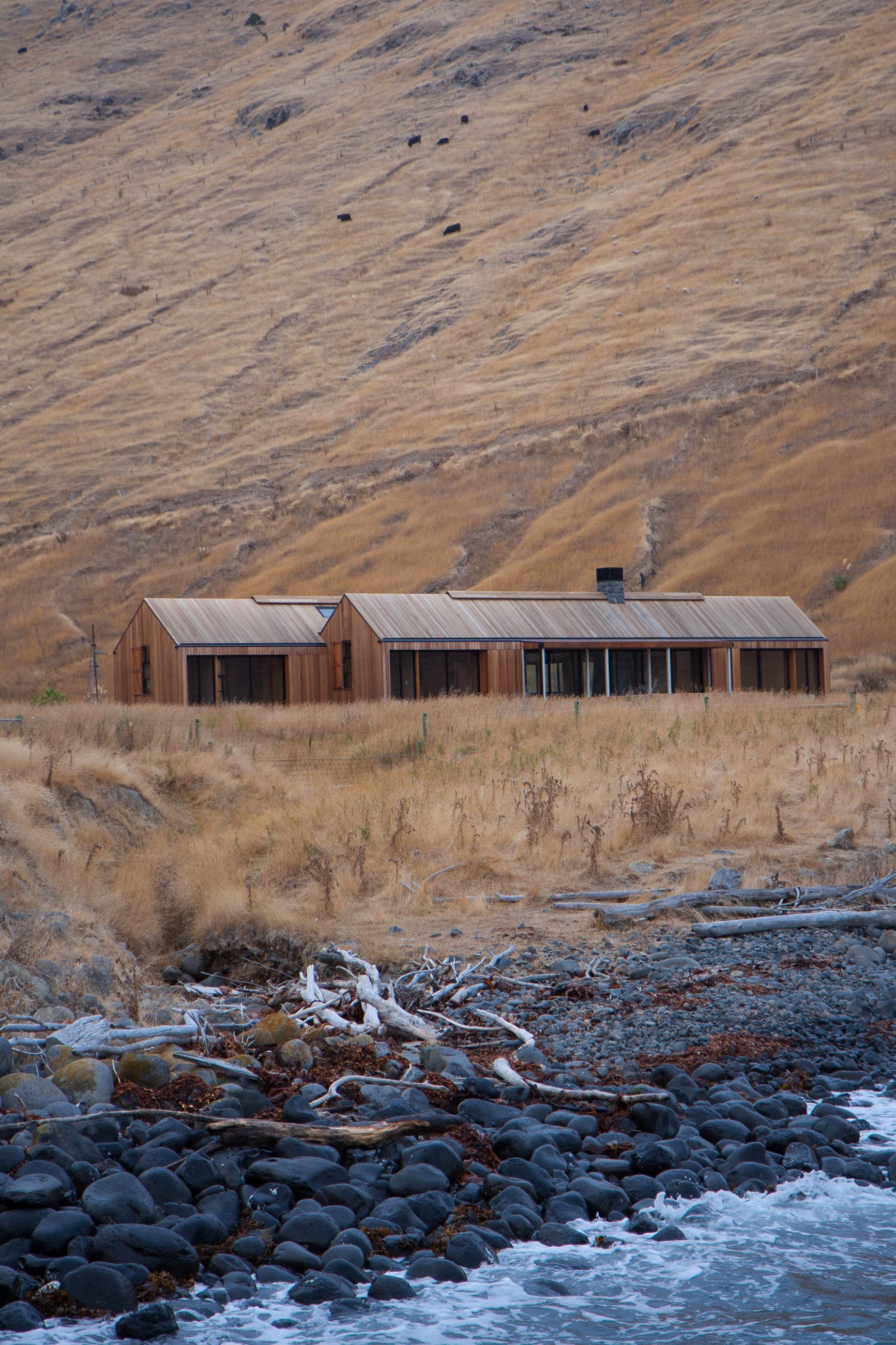 Scrubby_Bay__Photo_by_Greg_McKenzie_1