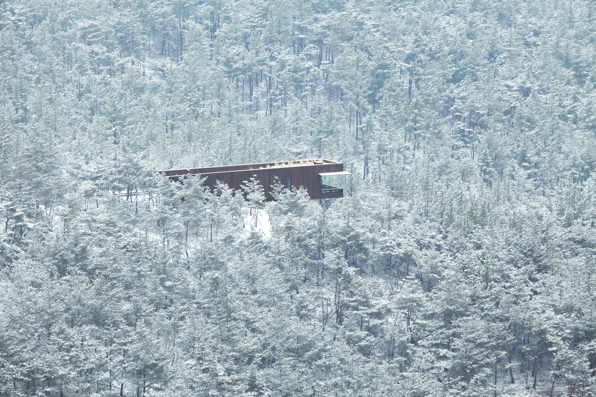 black_cottage_2