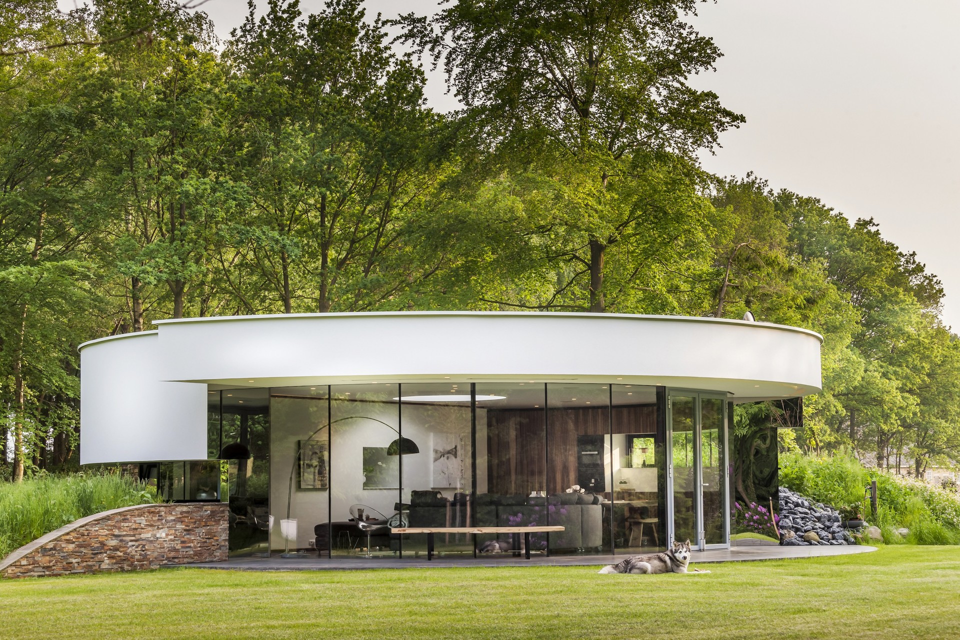 123DV360Villa2exteriorgardendog