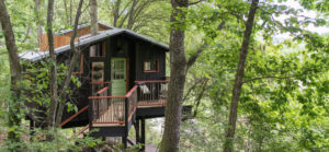 treehouse-exterior